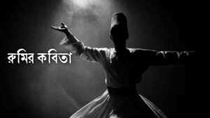 Read more about the article মাওলানা জালাল উদ্দীন রুমির কবিতা: রুমির ১৫ টি বিখ্যাত কবিতা