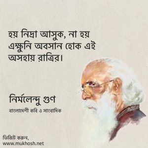 Read more about the article নির্মলেন্দু গুণের ১০০ টি বিখ্যাত উক্তি