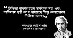 Read more about the article বিলাসী গল্পের সেরা উক্তি