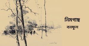 Read more about the article নিমগাছ – বনফুল