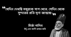 Read more about the article ৬৫+ মির্জা গালিবের প্রেম, ভালোবাসা, জীবন, মৃত্যু নিয়ে বিখ্যাত উক্তি,বাণী, শায়েরী ও কবিতা
